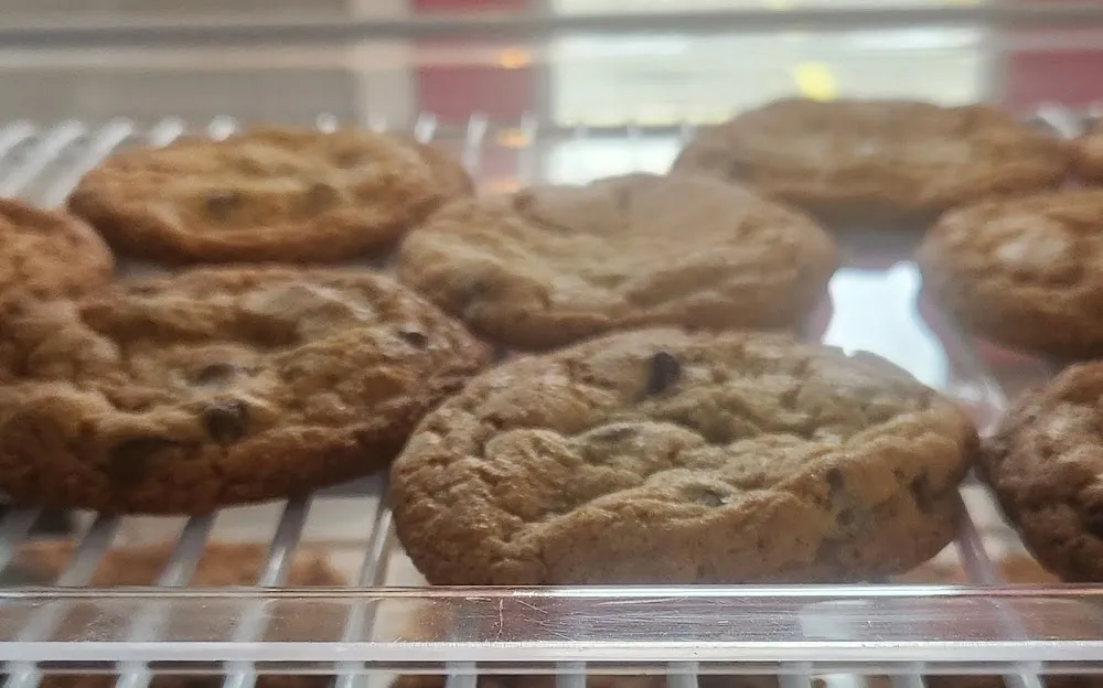 Chocolate Chip